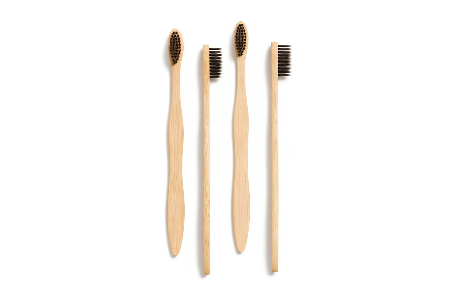 Bamboo Tooth Adults
